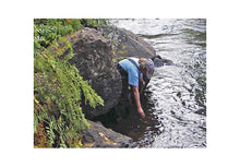 Load image into Gallery viewer, HOBO TidbiT v2 Water Temperature Data Logger -- UTBI-001